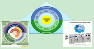 RG RIIL BMC網(wǎng)絡(luò)管理軟件 賦能企業(yè)IT運(yùn)維的綜合性應(yīng)用系統(tǒng)產(chǎn)品